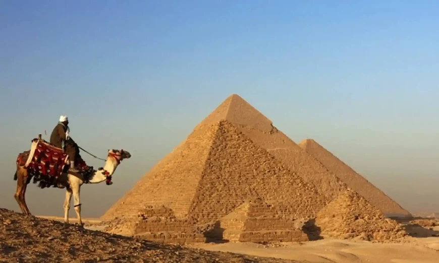 10 Days Ultimate Red Sea Diving and Pharaohs Tour - MSM Travel Egypt