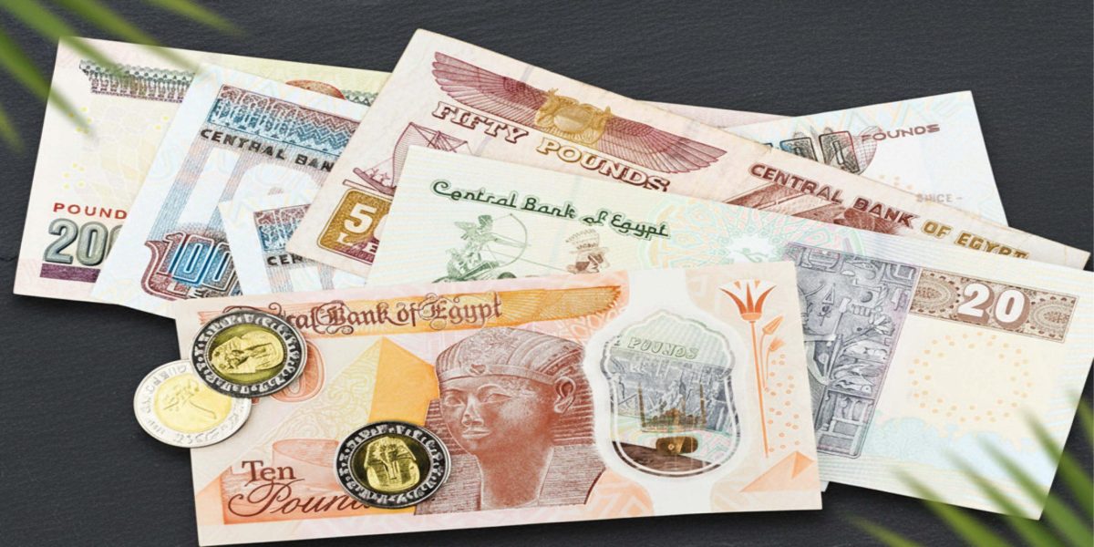 Money in Egypt 2026 Currency Payments and Tipping Guide - MSM Travel Egypt