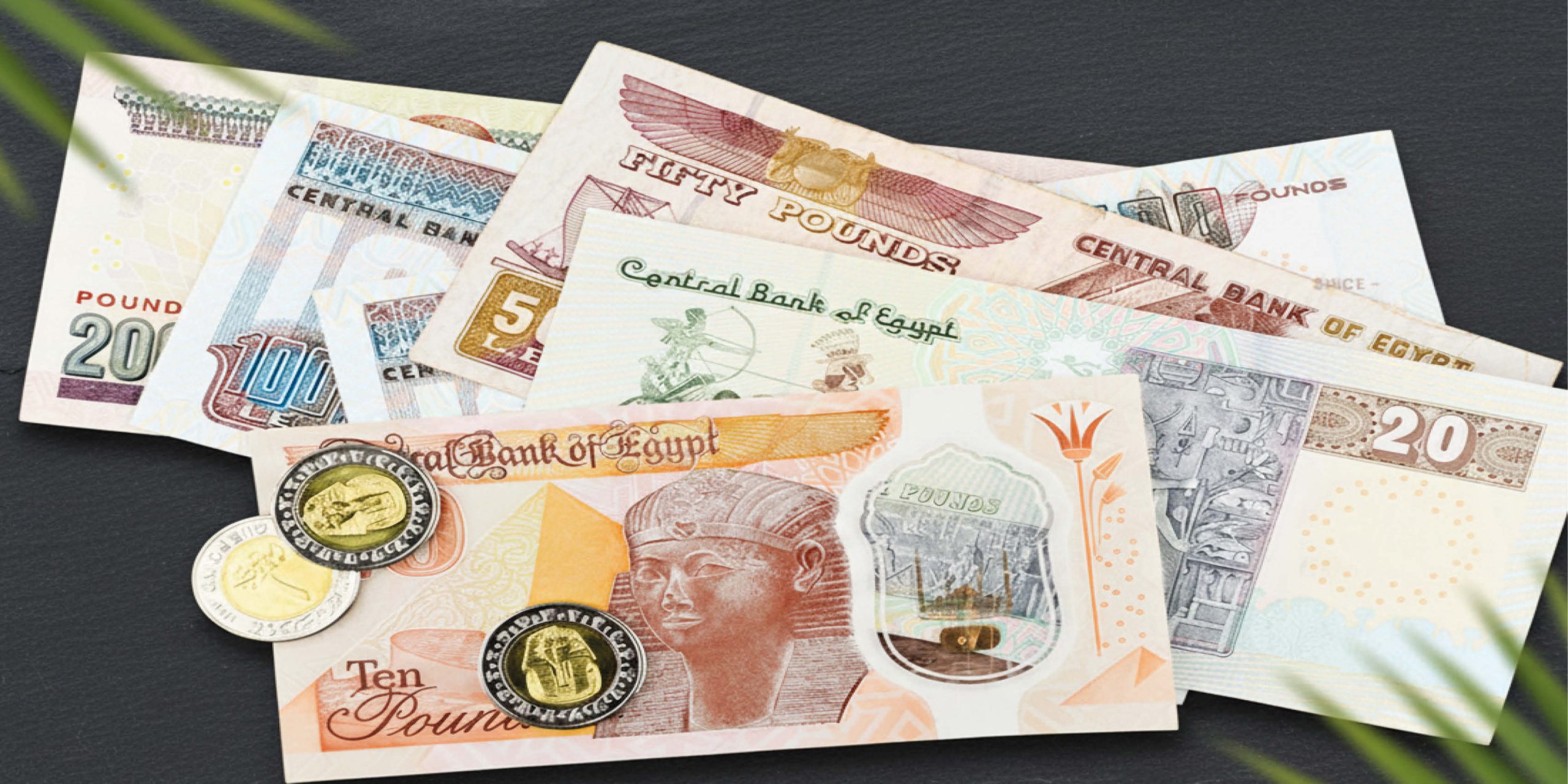 Egypt money guide: Egyptian Pound, cash, cards, and tipping tips for travelers in 2025.
