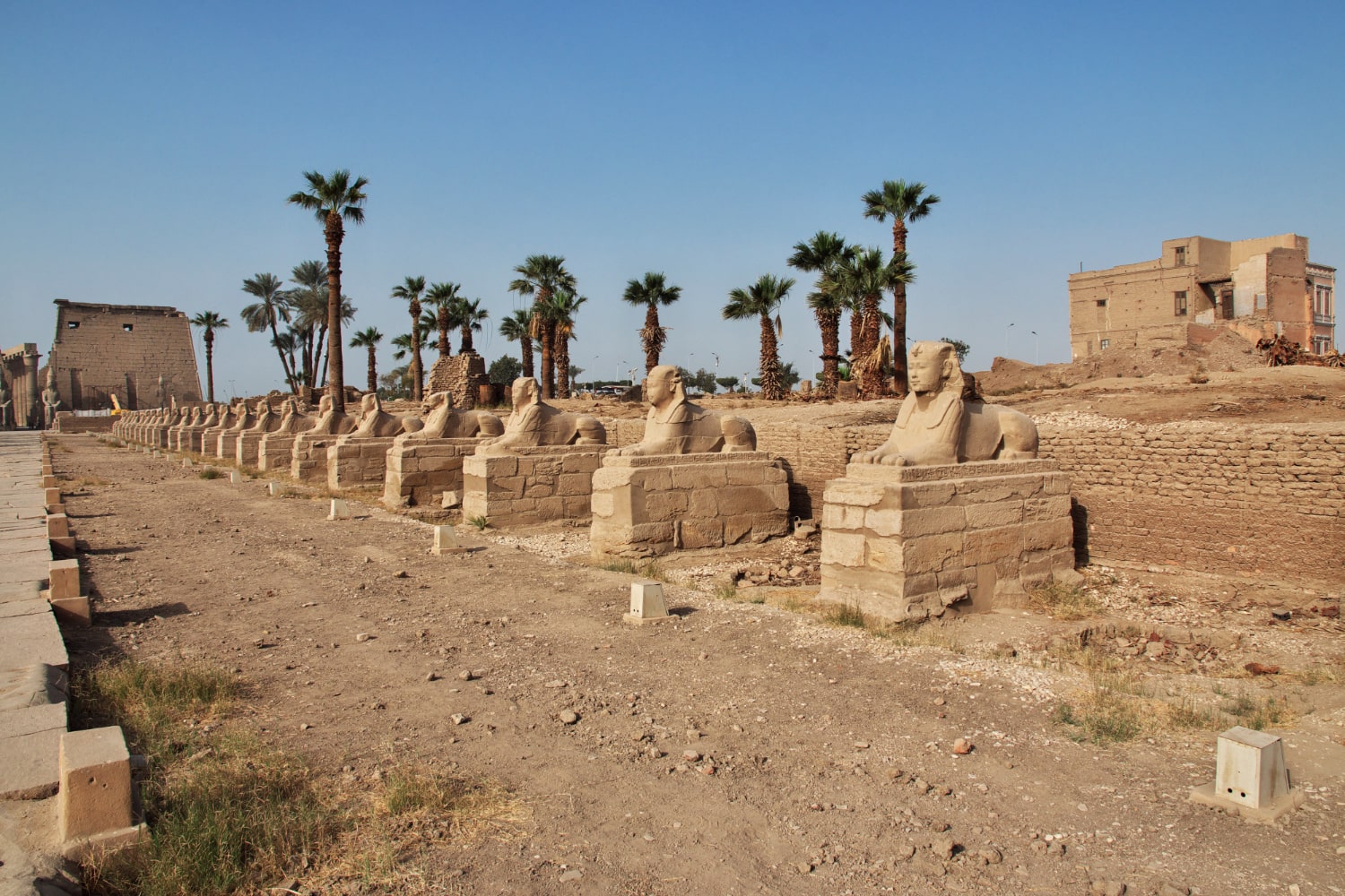 Dendera and Abydos Tour from Luxor