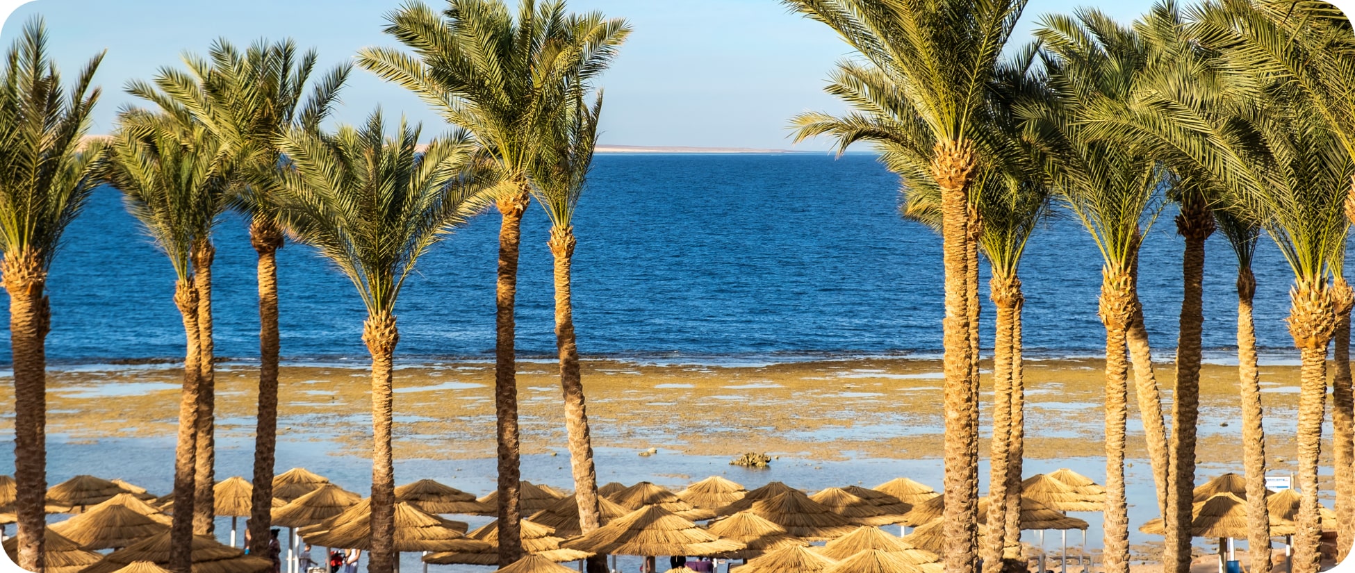 Hurghada Day Tours