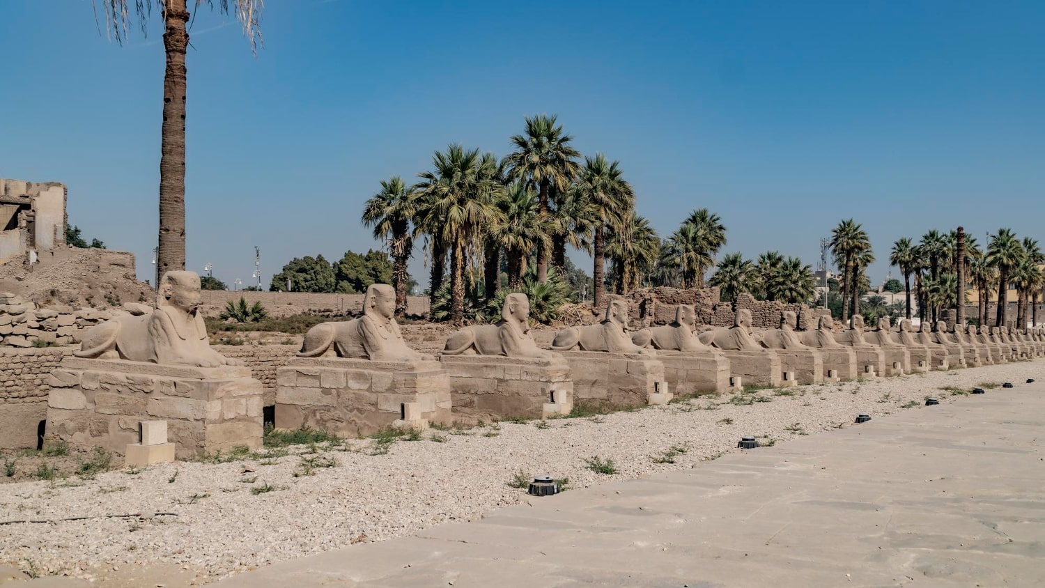 West Bank Tour private