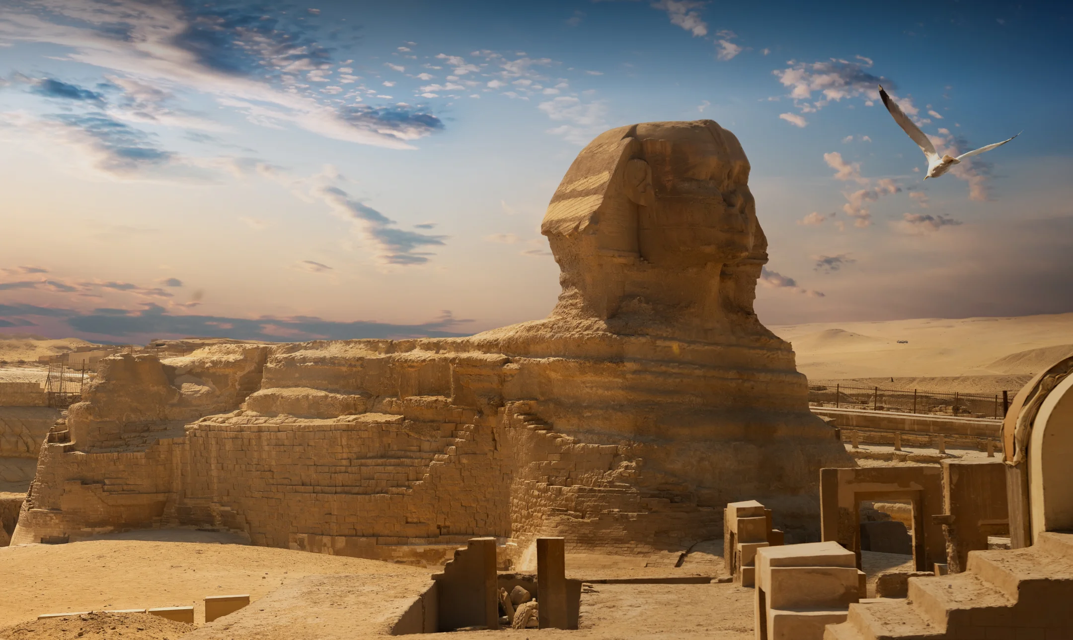 about MSM Travel Egypt