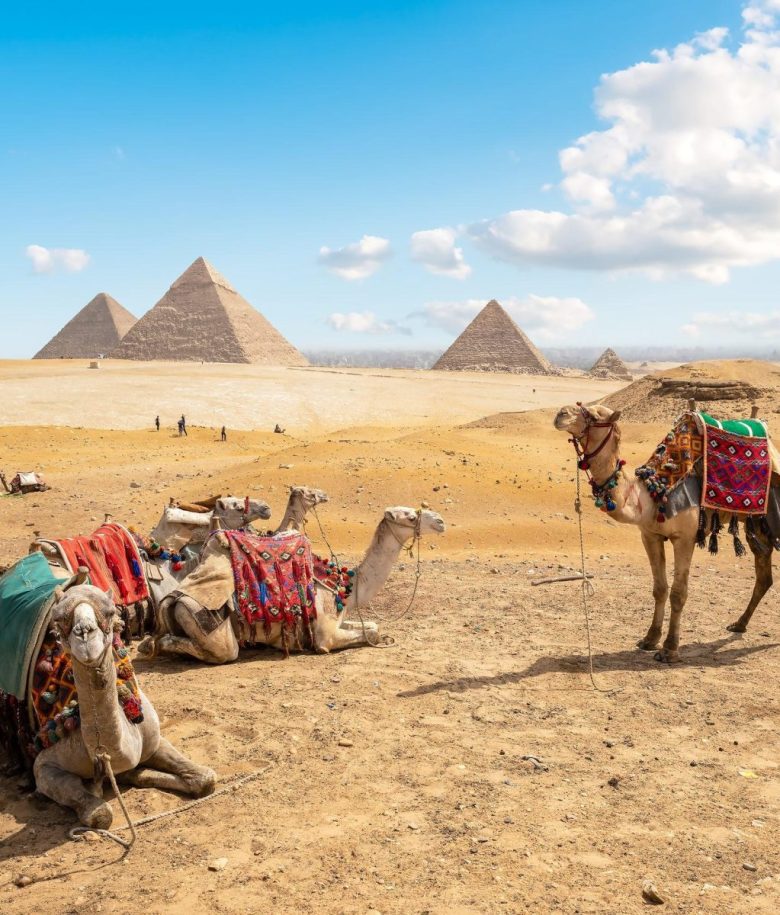 Cairo Day Trip from Hurghada Private Flight Tour - MSM Travel Egypt