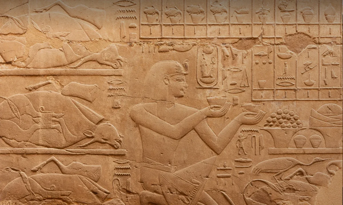 Contact MSM Travel Egypt for your trip help