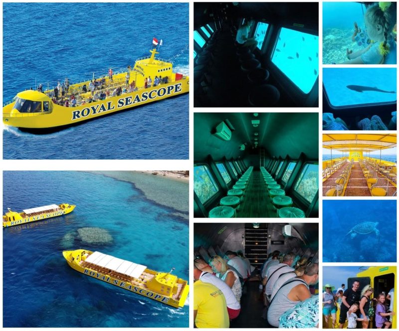 Semi-submarine Royal Seascope exploring Red Sea coral reefs with tropical fish visible through panoramic windows