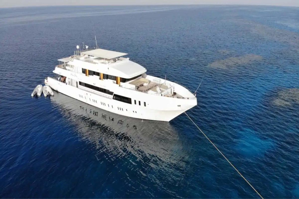 Red Sea Diving Adventure Marine Life Coral Reefs - MSM Travel Egypt