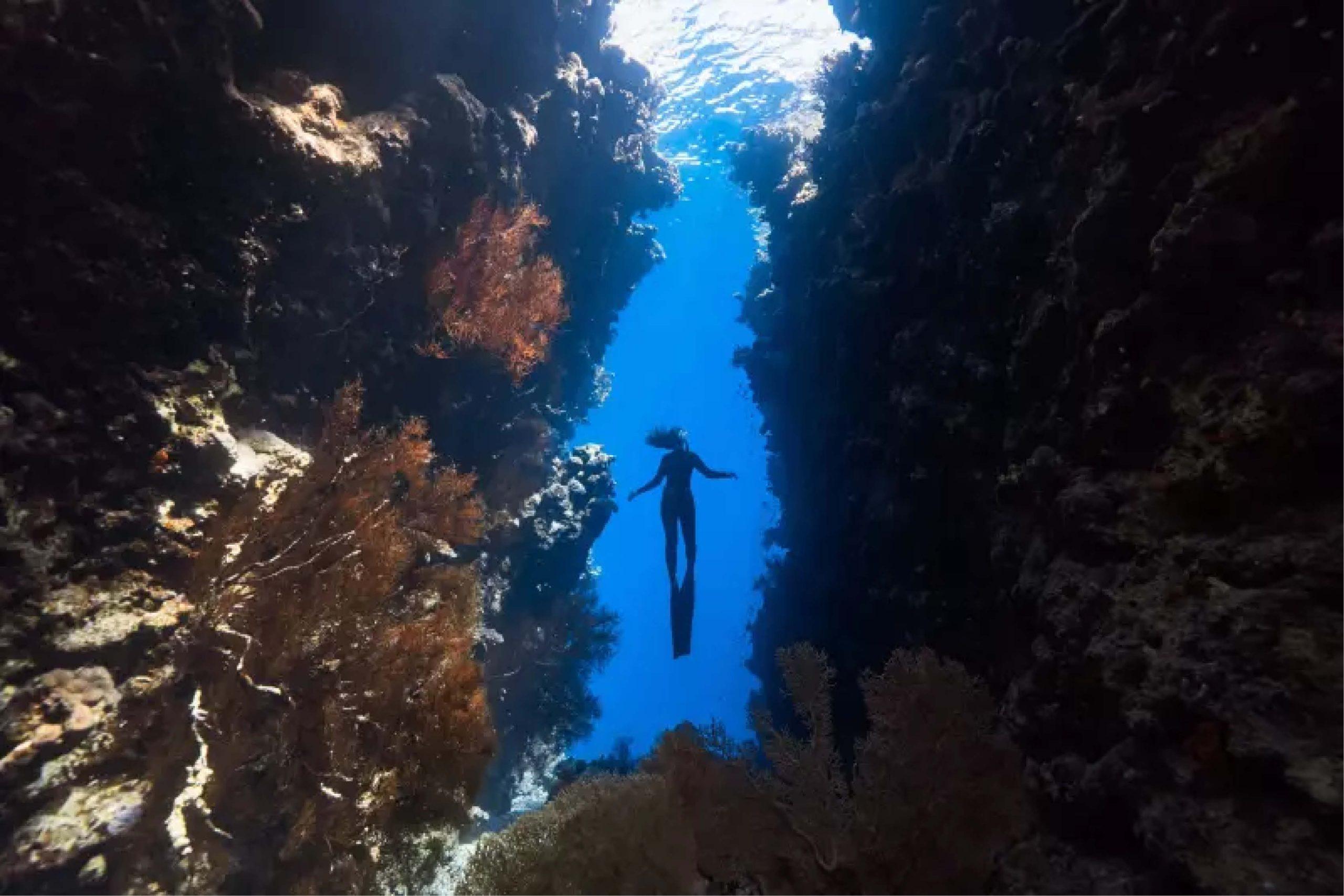 Scuba divers exploring vibrant coral reefs in the Red Sea, Egypt