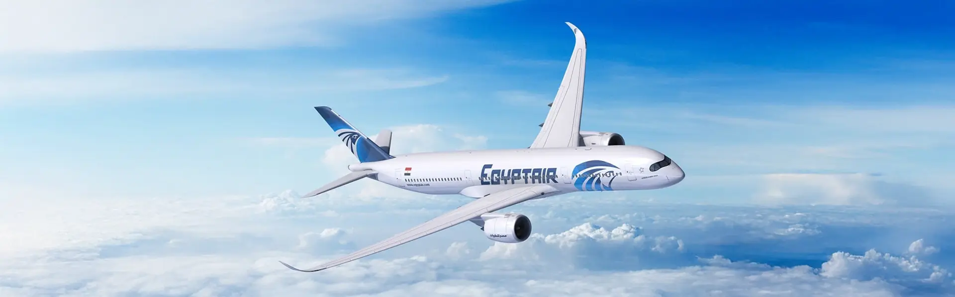 Private Jet Domestic Charter Flights for Executive Travel Egypt - MSM Travel Egypt