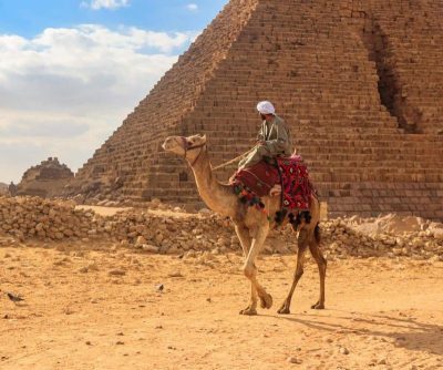 Private Egypt Daily Tours and Ancient Temple Sightseeing Excursions - MSM Travel
