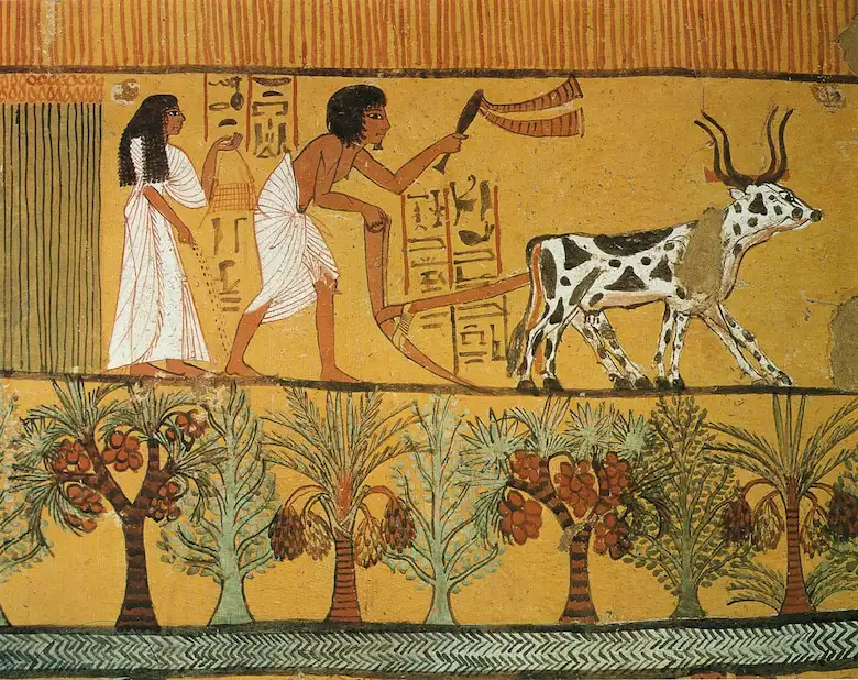 Daily life in ancient Egypt wall painting from Deir el-Medina showing Sennedjem plowing fields with oxen while Iyneferti sows seeds near date palm trees.