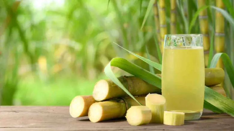A glass of fresh sugarcane juice served next to cut sugarcane stalks on a wooden table with sugarcane plants in the background.