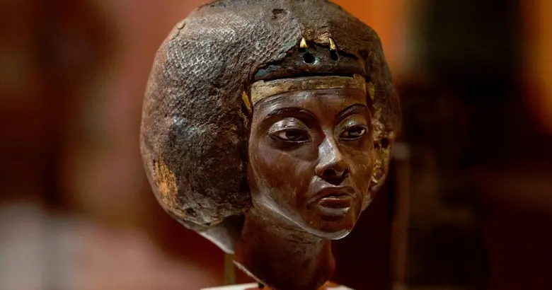 Dark wooden head bust sculpture of Queen Tiye featuring a detailed wig and royal crown band